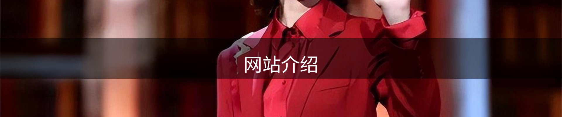 网站介绍