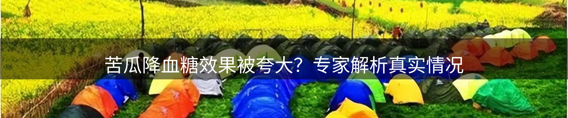 品牌资讯